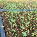 영순2농장 이미지