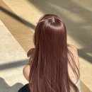핑크헤어타운