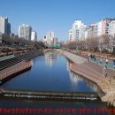 은평-021 이미지