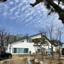 [남동구카페/티쏘커피]내돈내산 수산동대형카페예쁜카페추천 TSO LAB 커피
