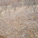 용추보건진료소 이미지