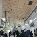 퍼피케크 이미지