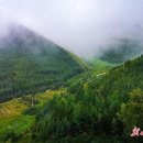 수녹