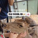 새말안길 네이버블로그