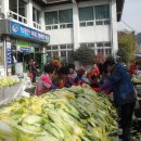 구포1동-5 이미지