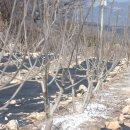 우식농장 이미지