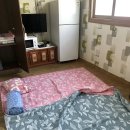 성일민박