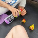 강가애하루 이미지