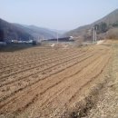 동막골 농장 이미지