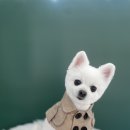 더 이쁘개 이미지