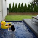 사랑 스테이 이미지