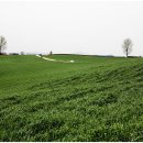 철수목장 이미지