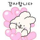 수성문구점 이미지