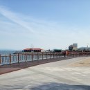 여수수산물특화시장 이미지