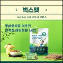 벅스(주) 이미지