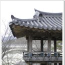 정자