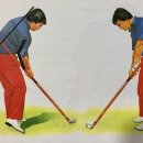 골프닥터임팩트 이미지