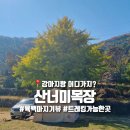 은행목장 | 산너미목장 단풍캠 은행나무 사이트 예약
