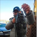 말봉바다낚시터 이미지