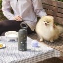 러브펫 동물병원 이미지