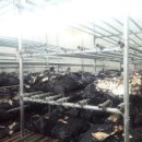 가향농장 이미지