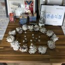 해월정 | [제주 해월정] 광고 말고 찐 후기✨ 제주 보말맛집, 내돈내산