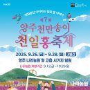 2025.9.26.~9.28.「2025년 제7회 양주 천만송이 천일홍 축제』 개최 안내 이미지