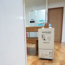 더스트우드