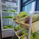 다래울한의원 이미지