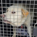 이재백안과의원 이미지