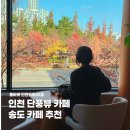 폴바셋송도 | 폴바셋 인천송도DT점 후기 / 인천 가을뷰 카페