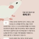 다이루세 이미지