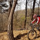 대산농업협동조합 이미지