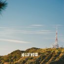 (주)VJ엔터테인먼트