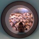 25.6.1 화천 산소길/평화의댐/사랑나무=2 이미지