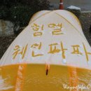 돌산캠핑장 네이버블로그