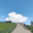 영진목장 이미지