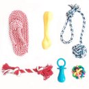 재미나개 이미지