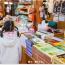 개화 | 제주도 서귀포 유채꽃 제주 유채꽃 개화시기 제주 여행 후기