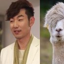 알파목장 이미지