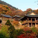 영주예찬 이미지