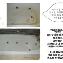 DIY셀프인테리어. 저렴하게 욕실을 코팅했어요.세면대,타일,욕조까지 화장실리폼했네요.기술자가한 욕실공사처럼요. 이미지