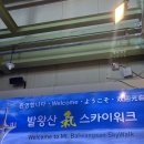 삼진카프라자 | 모나용평 발왕산 기 스카이워크 정상 카페 내돈내산후기