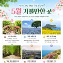 한우리독서토론논술 - 강서구 공항대로 124 | 한우리독서토론논술