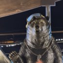 럿지(Lodge) 이미지