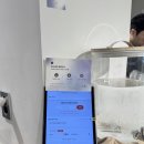 워커힐카페 | 서울 호캉스하고 가기 좋은 한강뷰 카페 &#39;빛의라운지 워커힐지점&#39; 후기