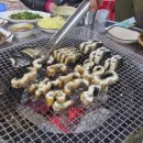 강변장어 이미지