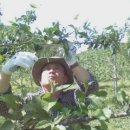 신호농장 이미지