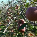 문호농장 이미지