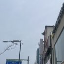 지정환임실피자 | [전북 부안] 지정환 임실치즈피자 | 치즈홀릭 밤호박, 치즈홀릭 슈퍼슈프림 내돈내먹